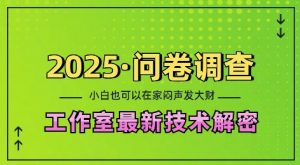 2025问卷调查最新工作室技术解密：一个人在家也可以闷声发大财，小白一天2张，可矩阵放大【揭秘】-男爵娱创[知识付费]