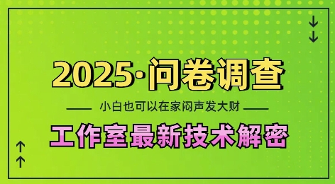 2025问卷调查最新工作室技术解密：一个人在家也可以闷声发大财，小白一天2张，可矩阵放大【揭秘】-男爵娱创[知识付费]