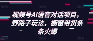 视频号AI语音对话项目，野路子玩法，橱窗带货条条火爆-男爵娱创[知识付费]