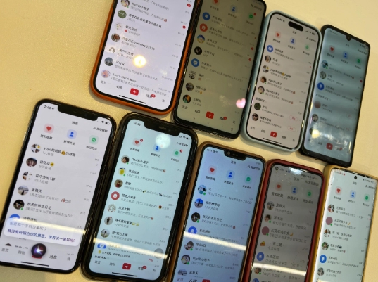 首发揭秘小红书私域日引500+创业粉四大模板，月入过W+全程干货!没有废话!保姆教程!-男爵娱创[知识付费]