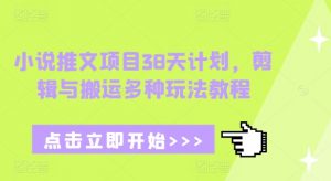 小说推文项目38天计划，剪辑与搬运多种玩法教程-男爵娱创[知识付费]