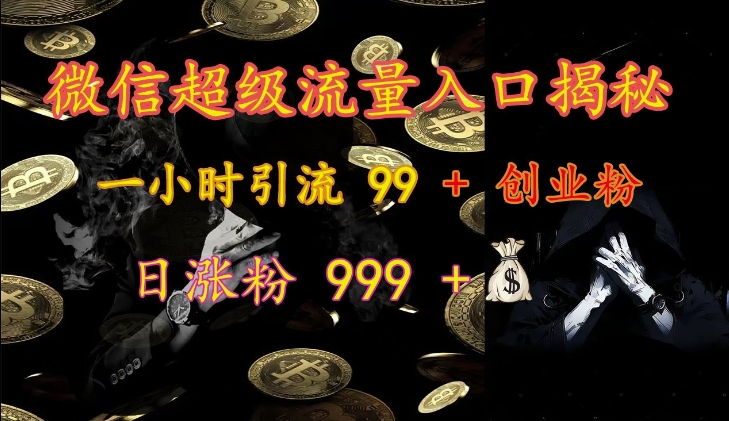 微信超级流量入口揭秘：一小时引流 99 + 创业粉，日涨粉 999 +-男爵娱创[知识付费]