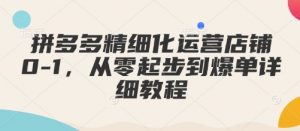 拼多多精细化运营店铺0-1，从零起步到爆单详细教程-男爵娱创[知识付费]