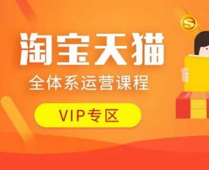 淘宝天猫全体系运营课程：店铺全系运营、动销玩法、付费推广、流量提升、擦边球玩法等等-男爵娱创[知识付费]