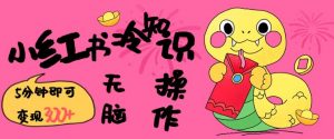 小红书冷知识账号，无脑复制粘贴，5分钟即可变现3张-男爵娱创[知识付费]