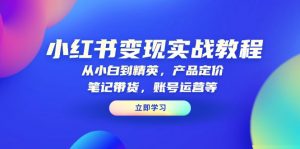 小红书变现实战教程：从小白到精英，产品定价，笔记带货，账号运营等-男爵娱创[知识付费]