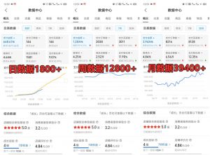 拼多多虚拟店铺项目，电脑挂机自动发货，单店日利润300+-男爵娱创[知识付费]