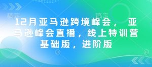 12月亚马逊跨境峰会， 亚马逊峰会直播，线上特训营基础版，进阶版-男爵娱创[知识付费]