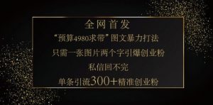 小红书神奇图片引流法，只需一张图，就能单条笔记凭借此方法，轻松引流 300 + 精准创业粉-男爵娱创[知识付费]