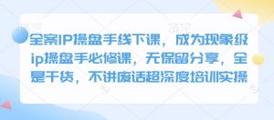 全案IP操盘手线下课，成为现象级ip操盘手必修课，无保留分享，全是干货，不讲废话超深度培训实操-男爵娱创[知识付费]