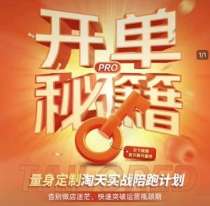 淘宝开单秘籍PRO，量身定制淘天实战陪跑计划，告别做店迷茫、快速突破运营瓶颈期-男爵娱创[知识付费]