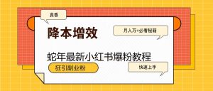 蛇年最新小红书爆粉教程，狂引副业粉，月入万+必看-男爵娱创[知识付费]