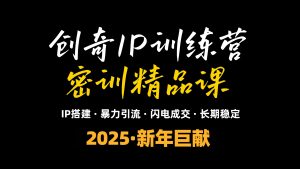2025年“知识付费IP训练营”小白避坑年赚百万，暴力引流，闪电成交-男爵娱创[知识付费]