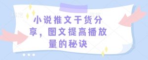 小说推文干货分享，图文提高播放量的秘诀-男爵娱创[知识付费]