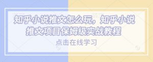 知乎小说推文怎么玩，知乎小说推文项目保姆级实战教程-男爵娱创[知识付费]