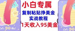 复制粘贴挣美金，0门槛，1天收入95美刀，3分钟学会，内部教程(首次公开)-男爵娱创[知识付费]