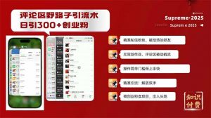 评论区野路子截流创业粉新方法，日被动加300+创业粉，精准引流被动添加...-男爵娱创[知识付费]