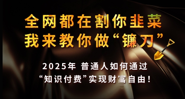 全网都在割你韭菜，我来教你做镰刀，2025年普通人如何通过 知识付费 实现财F自由【揭秘】-男爵娱创[知识付费]