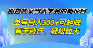 照抄答案当天学会的新项目，单号日入300 +可矩阵，有手就行，轻松放大-男爵娱创[知识付费]