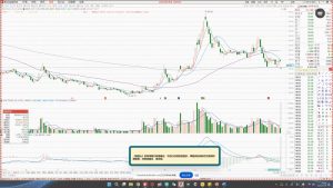 大师兄·鹿鼎山系列内部课程(更新2025年1月)-男爵娱创[知识付费]