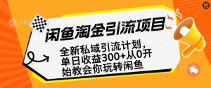 闲鱼淘金私域引流计划，从0开始玩转闲鱼，副业也可以挣到全职的工资-男爵娱创[知识付费]