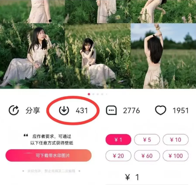 最新图虫搬运项目，收益无上限，利用AI小白也可日赚500+-男爵娱创[知识付费]