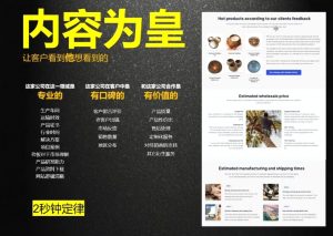 刘老师·外贸询盘增长秘籍从0到1的实战指南-男爵娱创[知识付费]