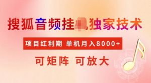 首发搜狐音频挂JI，项目红利期，可矩阵可放大，稳定月入5k【揭秘】-男爵娱创[知识付费]