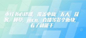 小红书必修课，覆盖电商，无人，获客，种草，mcn，直播等多个板块，看了就能干-男爵娱创[知识付费]