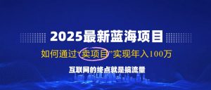2025最新蓝海项目，零门槛轻松复制，月入10万+，新手也能操作！-男爵娱创[知识付费]