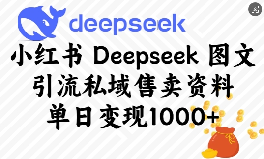 小红书Deepseek图文引流私域售卖资料，单日变现多张-男爵娱创[知识付费]
