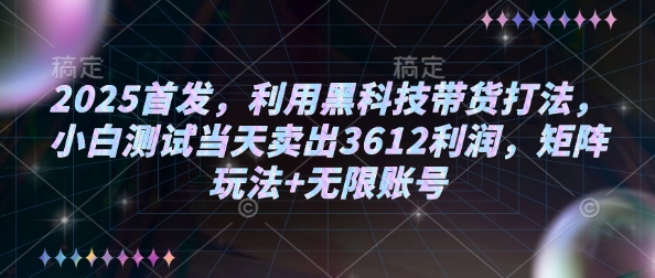 2025首发，利用黑科技带货打法，小白测试当天卖出3612利润，矩阵玩法+无限账号【揭秘】-男爵娱创[知识付费]