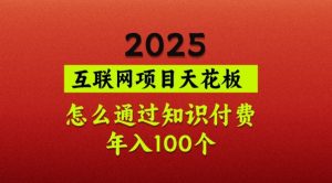 2025项目天花板，普通怎么通过知识付费翻身，年入百个【揭秘】-男爵娱创[知识付费]