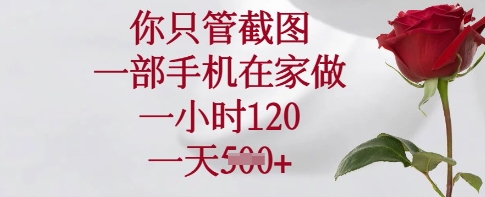 你只管截图，一部手机在家做，一小时120.一天5张【揭秘】-男爵娱创[知识付费]
