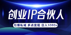 云帆·创业ip合伙人打造3.0，从0到1教你做网创，实现月入过W-男爵娱创[知识付费]