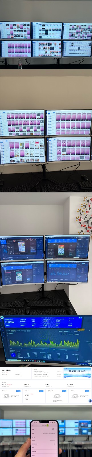 实操项目合集 挂机类型 直播类型 轻资产创业类型 课程分享各项目介绍和原理-男爵娱创[知识付费]