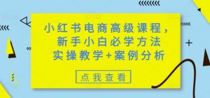 小红书电商高级课程，新手小白必学方法，实操教学+案例分析-男爵娱创[知识付费]