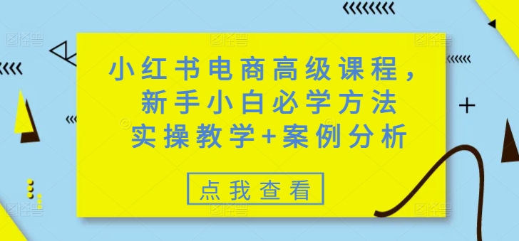 小红书电商高级课程，新手小白必学方法，实操教学+案例分析-男爵娱创[知识付费]