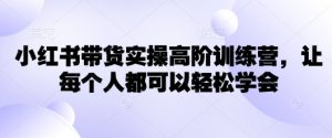 小红书带货实操高阶训练营，让每个人都可以轻松学会-男爵娱创[知识付费]