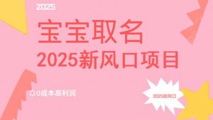 2025新风口项目宝宝取名，0成本高利润，附保姆级教程，月入过万不是梦-男爵娱创[知识付费]