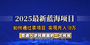 2025蓝海项目，普通人如何通过卖项目，实现月入过W，全过程【揭秘】-男爵娱创[知识付费]