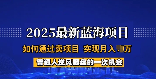 2025蓝海项目，普通人如何通过卖项目，实现月入过W，全过程【揭秘】-男爵娱创[知识付费]