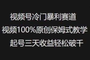 视频号冷门暴利赛道视频100%原创保姆式教学起号三天收益轻松破千-男爵娱创[知识付费]
