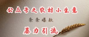 deepseek写农村小项目，条条爆款，暴力引流-男爵娱创[知识付费]