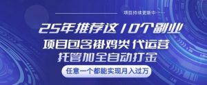 25年推荐这10个副业项目包含褂鸡类、代运营托管类、全自动打金类【揭秘】-男爵娱创[知识付费]