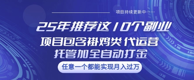 25年推荐这10个副业项目包含褂鸡类、代运营托管类、全自动打金类【揭秘】-男爵娱创[知识付费]