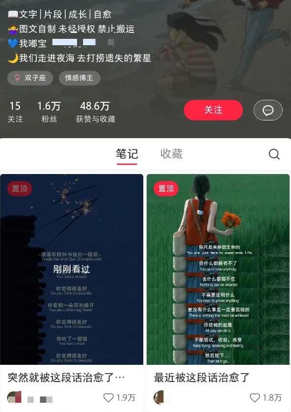 小红书治愈文案图文笔记，零门槛，一分钟制作轻松制作爆款作品月入万元-男爵娱创[知识付费]