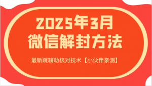 2025年3月微信解封方法 最新跳辅助核对技术【小伙伴亲测】-男爵娱创[知识付费]