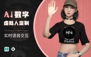 Ai数字人虚拟(智能体)实时语音交互特训营，​自行定制超写实角色AI数字人交互技术-男爵娱创[知识付费]