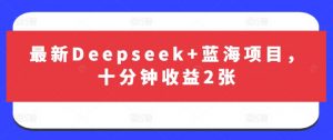 最新Deepseek+蓝海项目，十分钟收益2张-男爵娱创[知识付费]